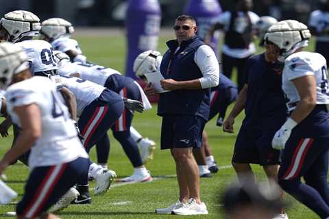 Mike Vrabel steps into stop Patriots training camp fight — again