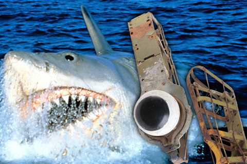 Shark Eyes Prop From 'Jaws' Rolling Up for Sale at Auction