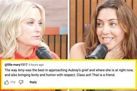Seven Months After Her Husband's Death, Aubrey Plaza Opened Up About Her Grief In A Very Honest Way