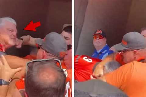 Bengals Fans Get in Wild Fistfight After Joe Burrow Injury