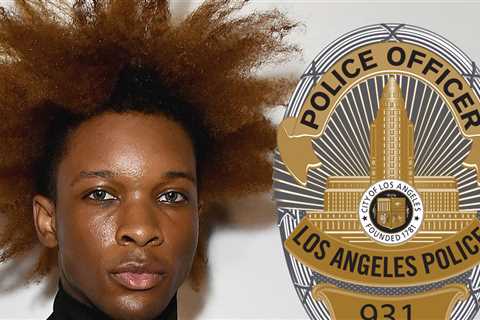 Cops Hunting For Videos of D4vd's Tesla In Area Where Car Was Abandoned