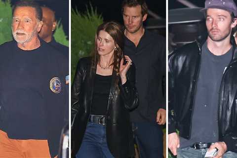 The Schwarzeneggers, Maria Shriver Hit Nobu for a Family Night Out