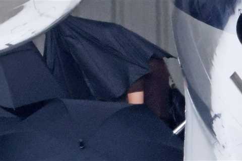 Taylor Swift Lands in California for Selena Gomez's Wedding, Covers Up With Umbrellas
