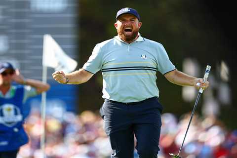 Shane Lowry, Rory McIlroy flip off fans in wild Ryder Cup scene