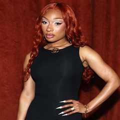 Megan Thee Stallion Claims Her Haters Are ‘Getting Paid’ to Criticize Her: ‘These Are Bots’