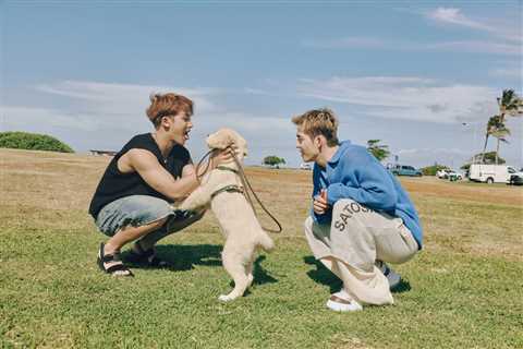 SEVENTEEN’s S.Coups x Mingyu Talk ‘HYPE VIBES’ Mini Album: ‘This Is an Album That’s Truly Us’