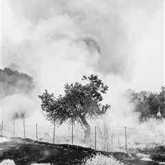 “The Weight Of Ash” by Photographer Ian Bates