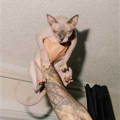 Photographer Spotlight: Alana Paterson