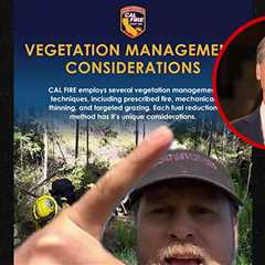 Spencer Pratt Rips Gavin Newsom for Palisades Fire, Says Lawyers Are Dumb or Liars