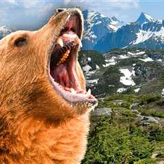 Grizzly Bear Mauls Students and Teachers Out for a Leisurely Hike