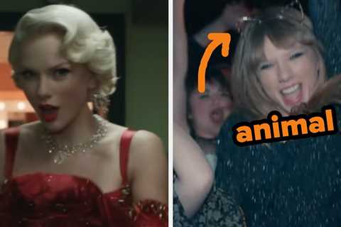 I Swear I Can Guess What You Went As For Halloween Based On Your The Life Of A Showgirl Song Lyric..