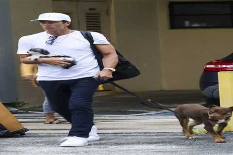 Tom Brady reveals he cloned his late dog to create newest pooch