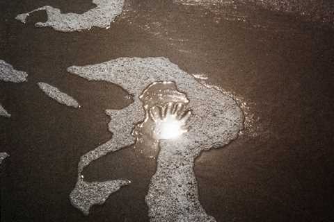 “We Keep Swimming, Until We All Reach Home” by Photographer Jillian Guyette