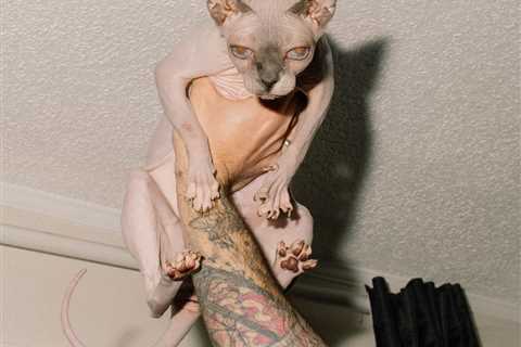 Photographer Spotlight: Alana Paterson