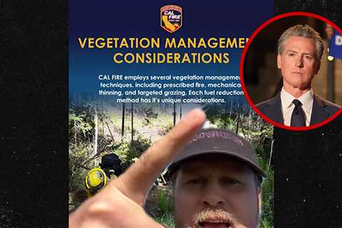 Spencer Pratt Rips Gavin Newsom for Palisades Fire, Says Lawyers Are Dumb or Liars