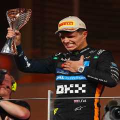 McLaren driver Lando Norris wins his first F1 title at Abu Dhabi Grand Prix