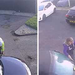 Driver Gets 4 Parking Tickets After Disability Space Painted Around His Car