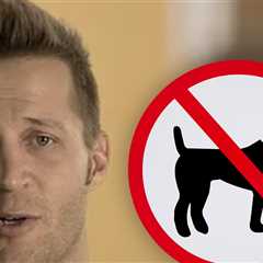 Ex-Reality Star Court-Ordered to Not Have Sex With His 2 Dogs