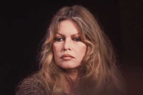 Brigitte Bardot, 1960s French Sex Symbol Turned Animal Rights Activist, Dies at 91