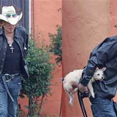 Mickey Rourke Checks Into West Hollywood Hotel With Dog Amid Threat of Eviction