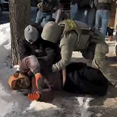 Border Patrol Agents Clash With Bystanders After Fatal Alex Pretti Shooting