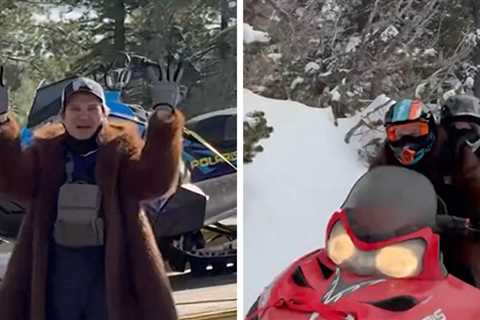Jeremy Renner Rides Snowmobile 3 Years After Near-Fatal Snowplow Accident