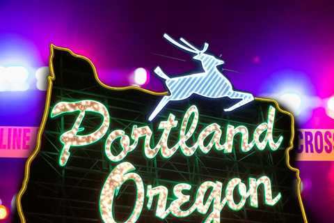 Federal Immigration Agents Shoot Two People In Portland, Police Say