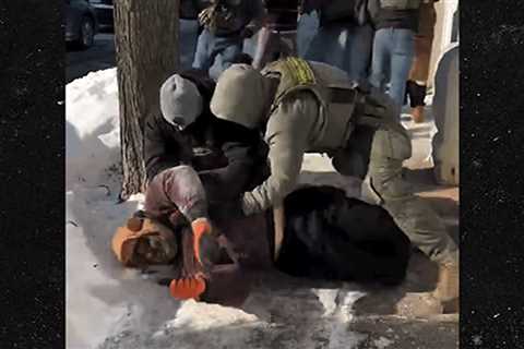 Border Patrol Agents Clash With Bystanders After Fatal Alex Pretti Shooting