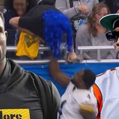 Lions Fan Sues DK Metcalf, Steelers For $100M Over Sideline Clash