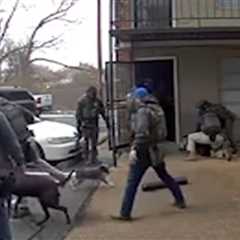 U.S. Marshal Kicks Small Dog Twice in Shocking Video Taken During Arrest