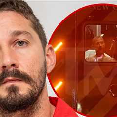 Shia LaBeouf Punched Bar Employee, Had To Be Held Down Before Arrest
