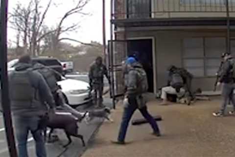 U.S. Marshal Kicks Small Dog Twice in Shocking Video Taken During Arrest
