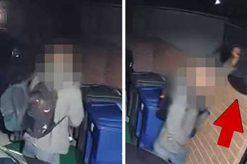 New Video of Man with Similar Backpack Shot Just Before Nancy Guthrie Kidnapping