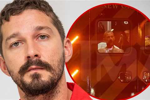 Shia LaBeouf Punched Bar Employee, Had To Be Held Down Before Arrest