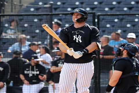 Paul Goldschmidt flashes power in encouraging early Yankees sign