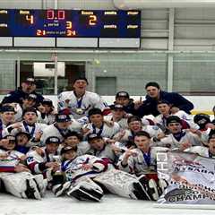 Bellmore-Merrick wins boys hockey state title after years of painful exits
