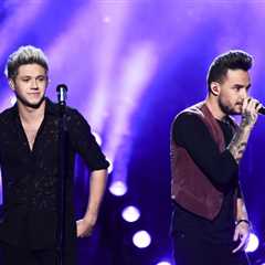 Niall Horan Says He ‘Went Into Hiding’ After Liam Payne’s Death, Recalls Final Hangout With..