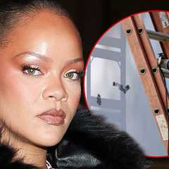 Rihanna's Alleged House Shooter Could Lose Ability to Practice Speech-Language Pathology