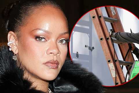 Rihanna's Alleged House Shooter Could Lose Ability to Practice Speech-Language Pathology