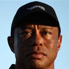 Tiger Woods Seeking Treatment After DUI Arrest