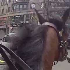 Mounted NYPD Cop Pursues Purse Snatcher Down NYC Street, Watch Wild Video