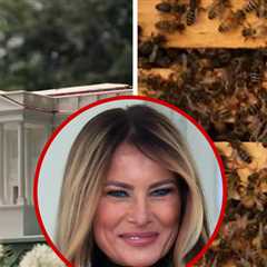 Melania Trump's New Project Is a Beehive Shaped Like The White House