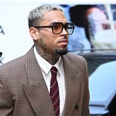 Chris Brown Says Rihanna Assault Shouldn’t Be Mentioned at Dog Attack Trial