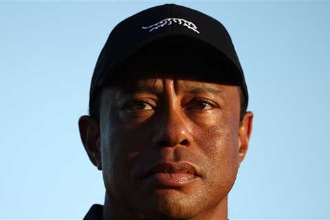 Tiger Woods Seeking Treatment After DUI Arrest