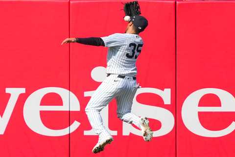 Cody Bellinger makes unreal Yankees grab for early catch of the year candidate