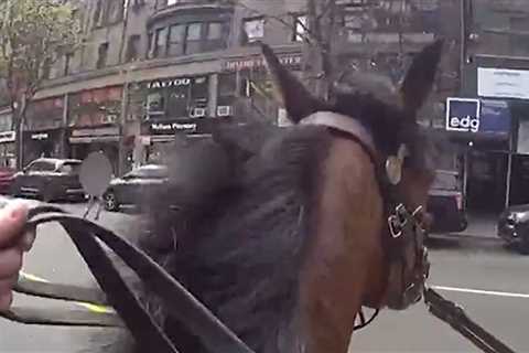 Mounted NYPD Cop Pursues Purse Snatcher Down NYC Street, Watch Wild Video