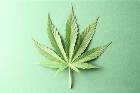 25 Weed Songs: Highest Hits in Hot 100 History