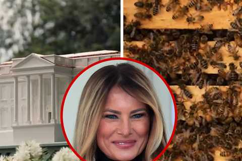 Melania Trump's New Project Is a Beehive Shaped Like The White House