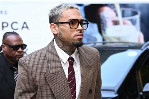 Chris Brown Says Rihanna Assault Shouldn’t Be Mentioned at Dog Attack Trial
