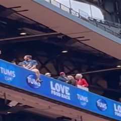 Cardinals fan dangerously hangs off upper deck ledge in terrifying scene